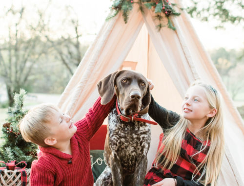 Knoxville Family Photography Session - Atchley
