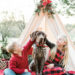 Knoxville Family Photography Session - Atchley