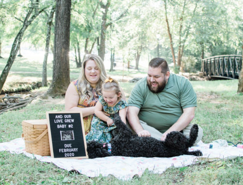Knoxville Family Photography Session - Miles